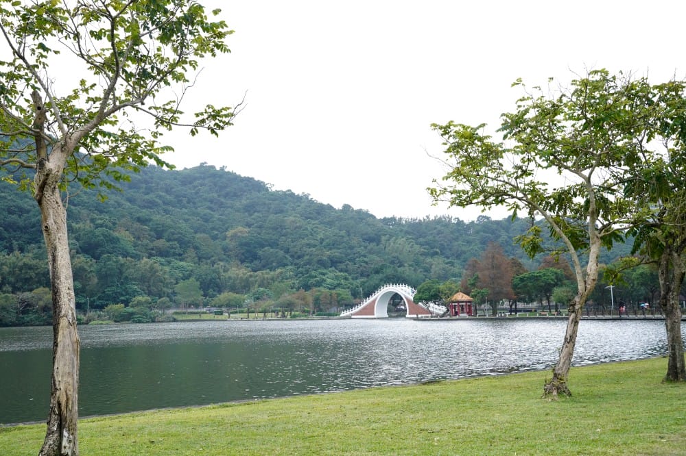 台北｜內湖大湖公園落羽松，野餐親子一日遊，帶毛孩步道散步，觀賞全台最美錦帶橋