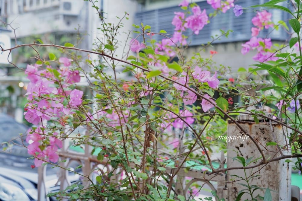 公館咖啡|野餐咖啡Picnic Cafe,台大溫州街不限時咖啡廳,甜點爆好吃,帶電腦工作或是跟閨蜜聊到沒話說為止! - 第12張圖 公館咖啡|野餐咖啡Picnic Cafe,台大溫州街不限時咖啡廳,甜點爆好吃,帶電腦工作或是跟閨蜜聊到沒話說為止!