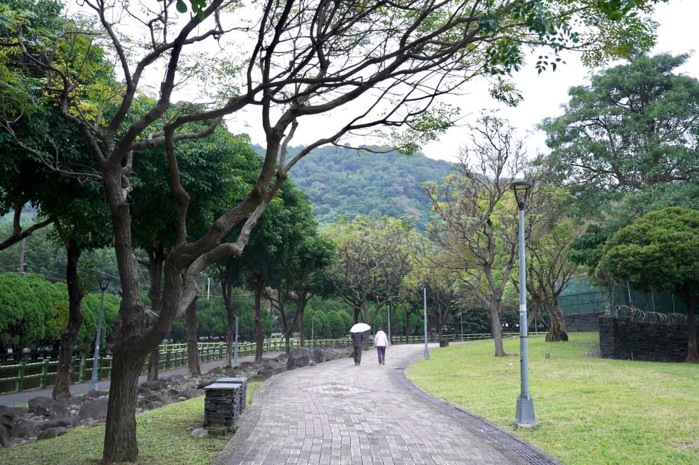 台北｜原住民文化主題公園落羽松，故宮旁的秘境公園，免費景點，落雨松倒影一秒到韓國