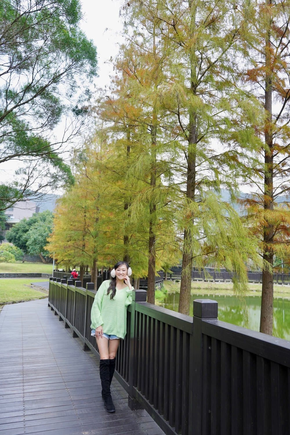 台北｜原住民文化主題公園落羽松，故宮旁的秘境公園，免費景點，落雨松倒影一秒到韓國