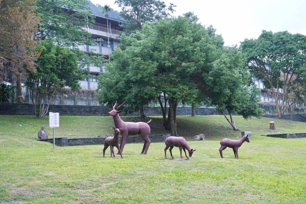 台北｜原住民文化主題公園落羽松，故宮旁的秘境公園，免費景點，落雨松倒影一秒到韓國