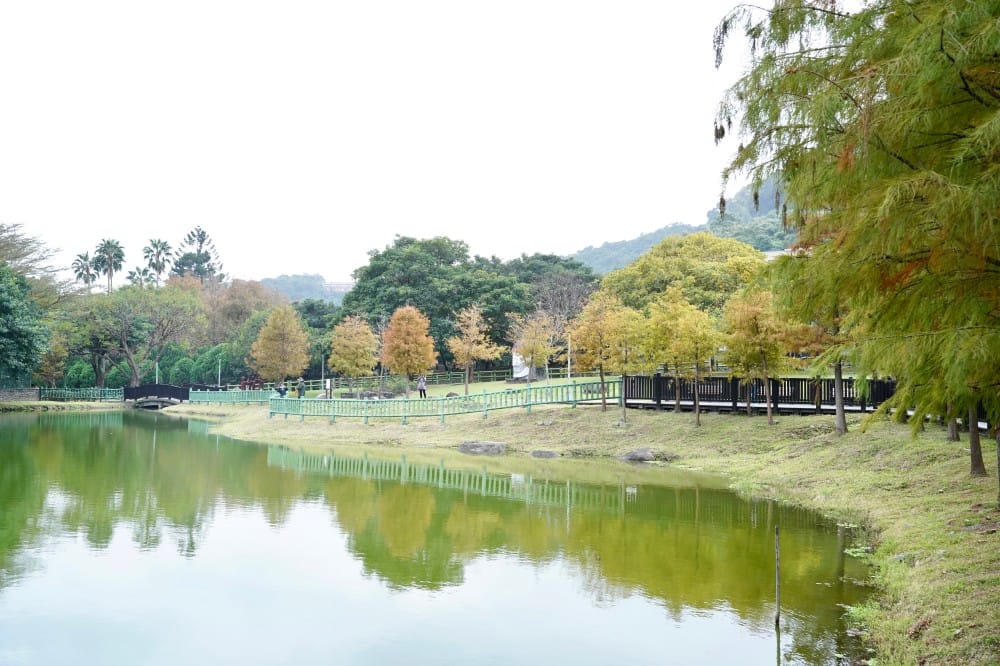 台北｜原住民文化主題公園落羽松，故宮旁的秘境公園，免費景點，落雨松倒影一秒到韓國