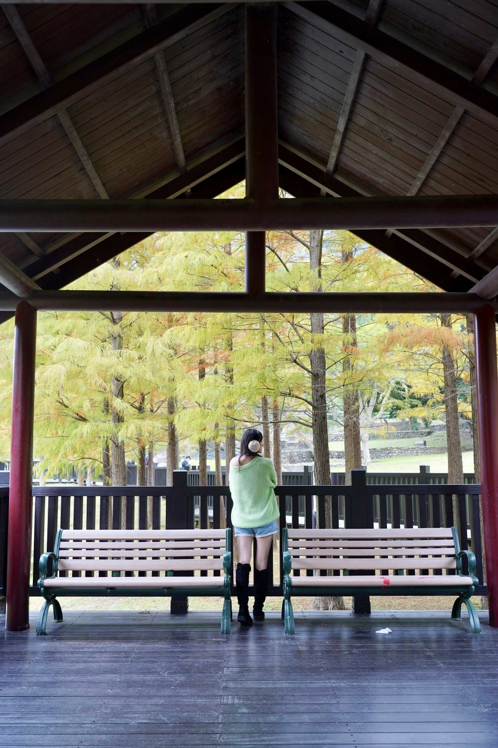 台北｜原住民文化主題公園落羽松，故宮旁的秘境公園，免費景點，落雨松倒影一秒到韓國