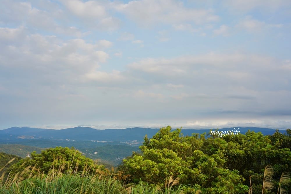 汐止景點｜五指山星城咖啡，無敵夜景咖啡，大草原景觀咖啡廳，約會超浪漫，不限時沒有低消！