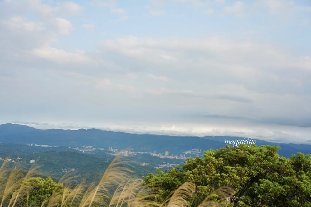汐止景點｜五指山星城咖啡，無敵夜景咖啡，大草原景觀咖啡廳，約會超浪漫，不限時沒有低消！