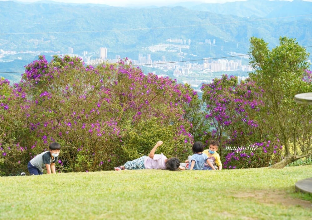 汐止景點｜五指山星城咖啡，無敵夜景咖啡，大草原景觀咖啡廳，約會超浪漫，不限時沒有低消！
