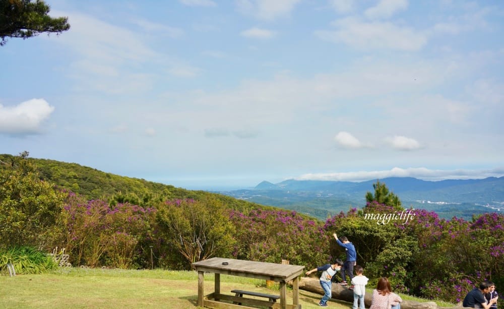 汐止景點|五指山星城咖啡,無敵夜景咖啡,大草原景觀咖啡廳,約會超浪漫,不限時沒有低消! - 第11張圖 汐止景點|五指山星城咖啡,無敵夜景咖啡,大草原景觀咖啡廳,約會超浪漫,不限時沒有低消!