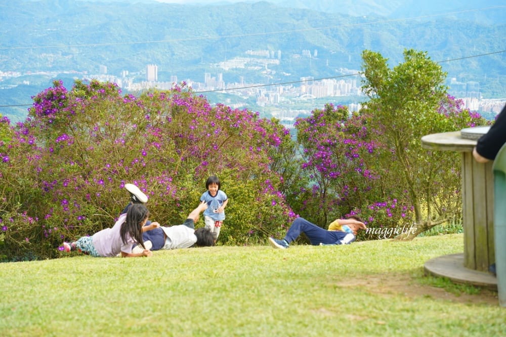 汐止景點｜五指山星城咖啡，無敵夜景咖啡，大草原景觀咖啡廳，約會超浪漫，不限時沒有低消！