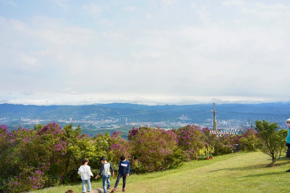 汐止景點｜五指山星城咖啡，無敵夜景咖啡，大草原景觀咖啡廳，約會超浪漫，不限時沒有低消！