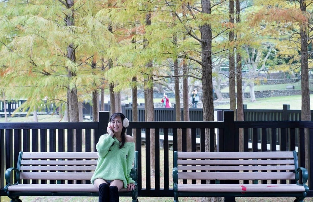 台北｜原住民文化主題公園落羽松，故宮旁的秘境公園，免費景點，落雨松倒影一秒到韓國