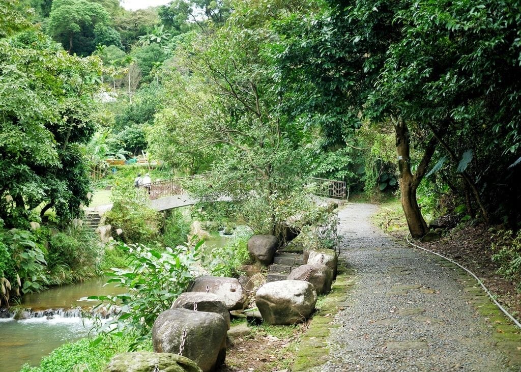 台北內湖一日遊｜內湖大溝溪親水公園步道花海已經開始了，免費景點，放假親子踏青郊遊野餐，可賞蝶，內湖縱走！