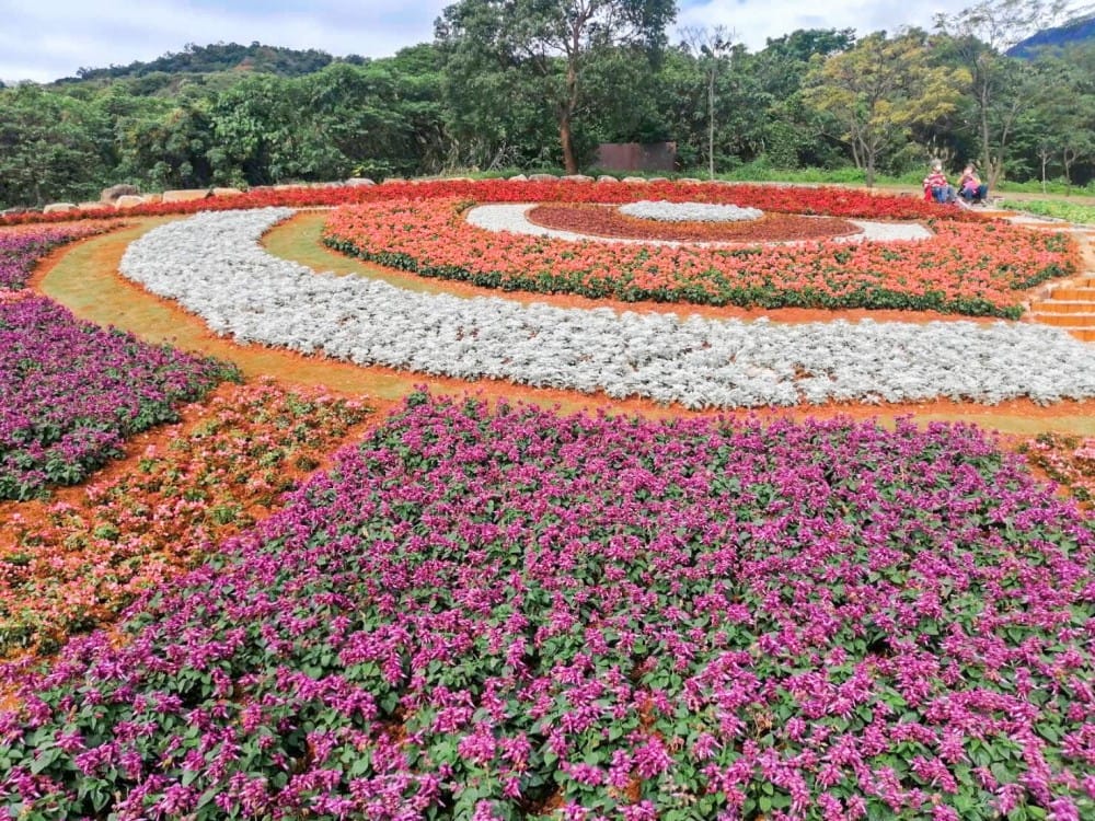 北投社三層崎公園｜台版富良野花海，IG網美秘境，免費賞花景點，交通怎麼去