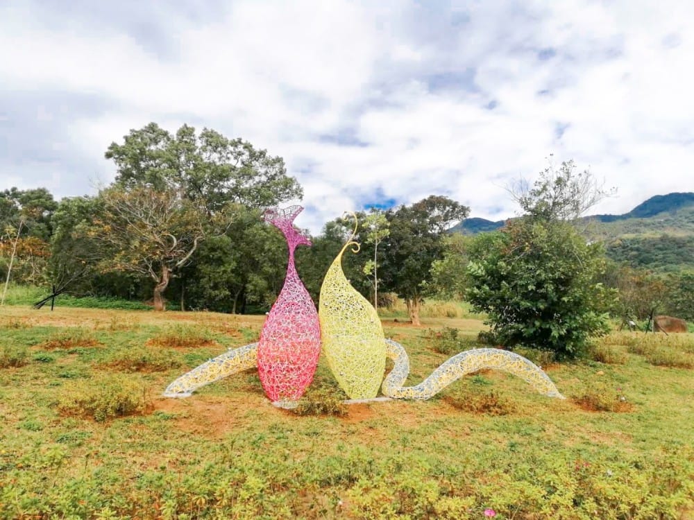 北投社三層崎公園｜台版富良野花海，IG網美秘境，免費賞花景點，交通怎麼去