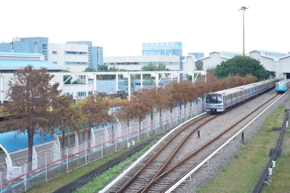 北投復興崗站落羽松秘境，捷運旁北投在地人才知道的秘境，超有異國感！