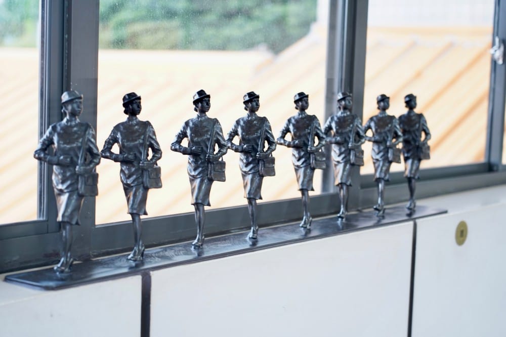 北投復興崗站落羽松秘境，捷運旁北投在地人才知道的秘境，超有異國感！