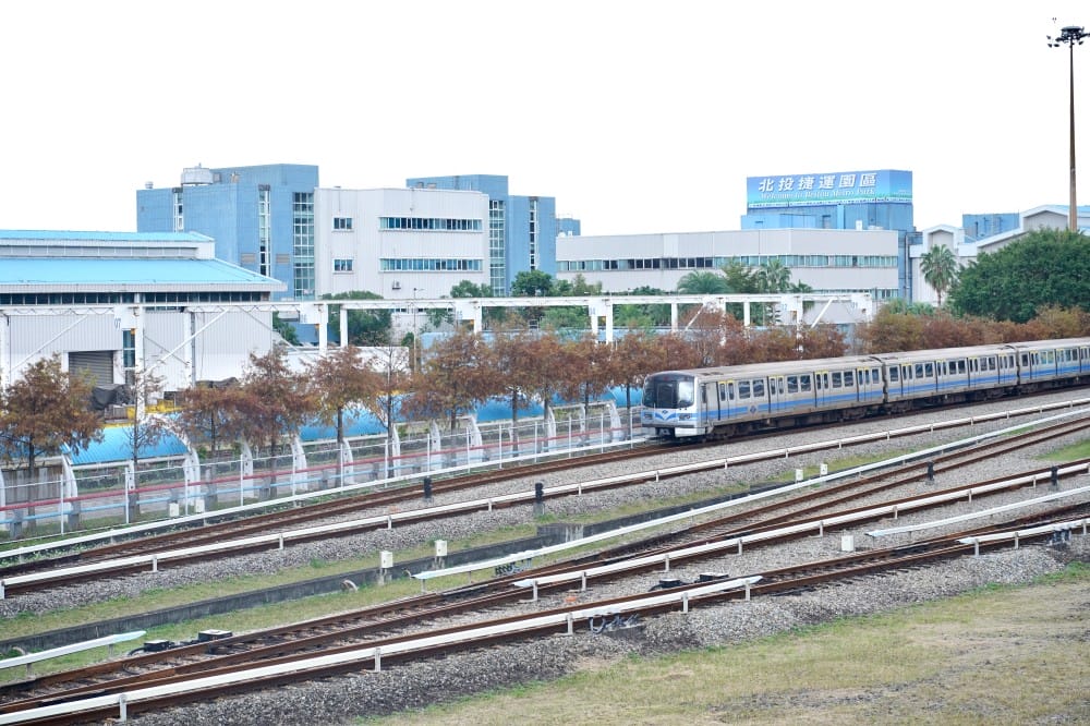 北投復興崗站落羽松秘境，捷運旁北投在地人才知道的秘境，超有異國感！