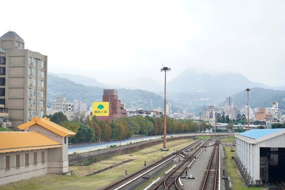 北投復興崗站落羽松秘境，捷運旁北投在地人才知道的秘境，超有異國感！