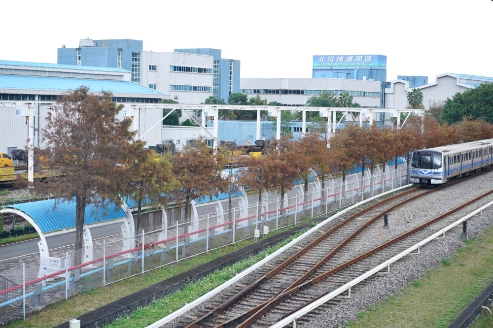 北投復興崗站落羽松秘境，捷運旁北投在地人才知道的秘境，超有異國感！