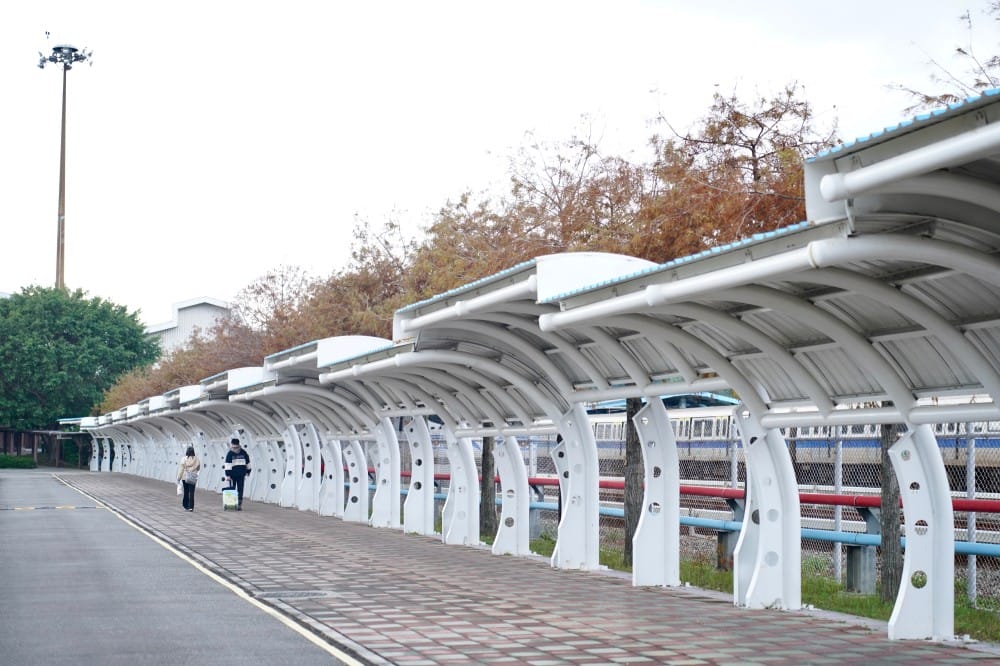 北投復興崗站落羽松秘境，捷運旁北投在地人才知道的秘境，超有異國感！