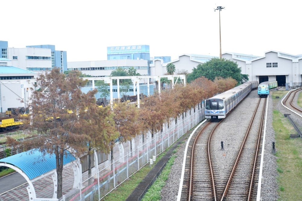 北投復興崗站落羽松秘境，捷運旁北投在地人才知道的秘境，超有異國感！