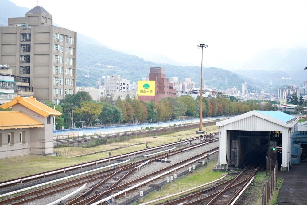 北投復興崗站落羽松秘境，捷運旁北投在地人才知道的秘境，超有異國感！