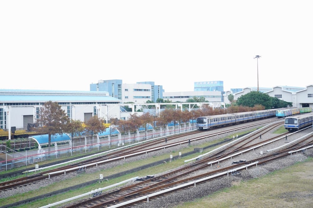 北投復興崗站落羽松秘境，捷運旁北投在地人才知道的秘境，超有異國感！