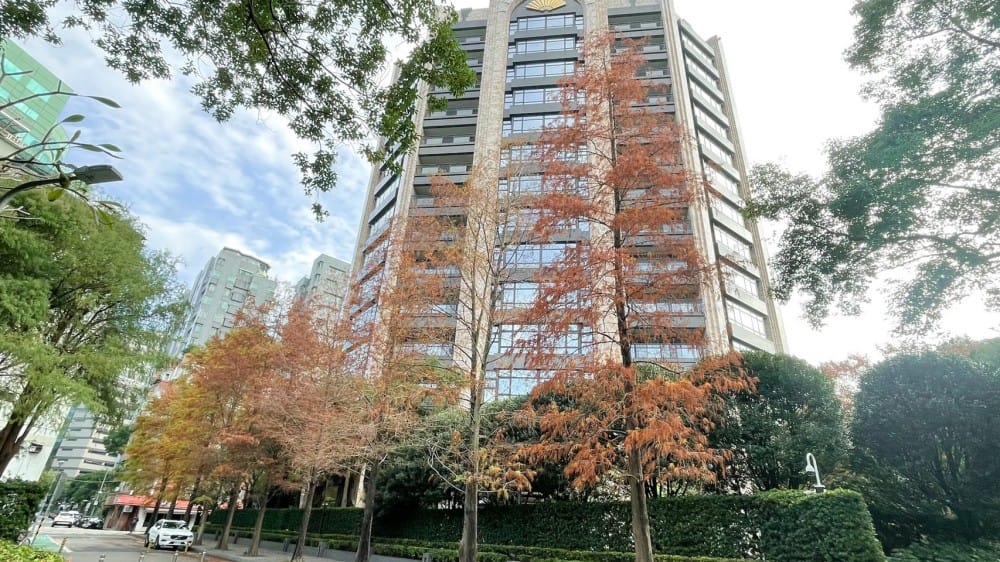 台北慶城街落羽松秘境｜台北市區文華苑旁的落羽松，還有2600坪的公園綠地