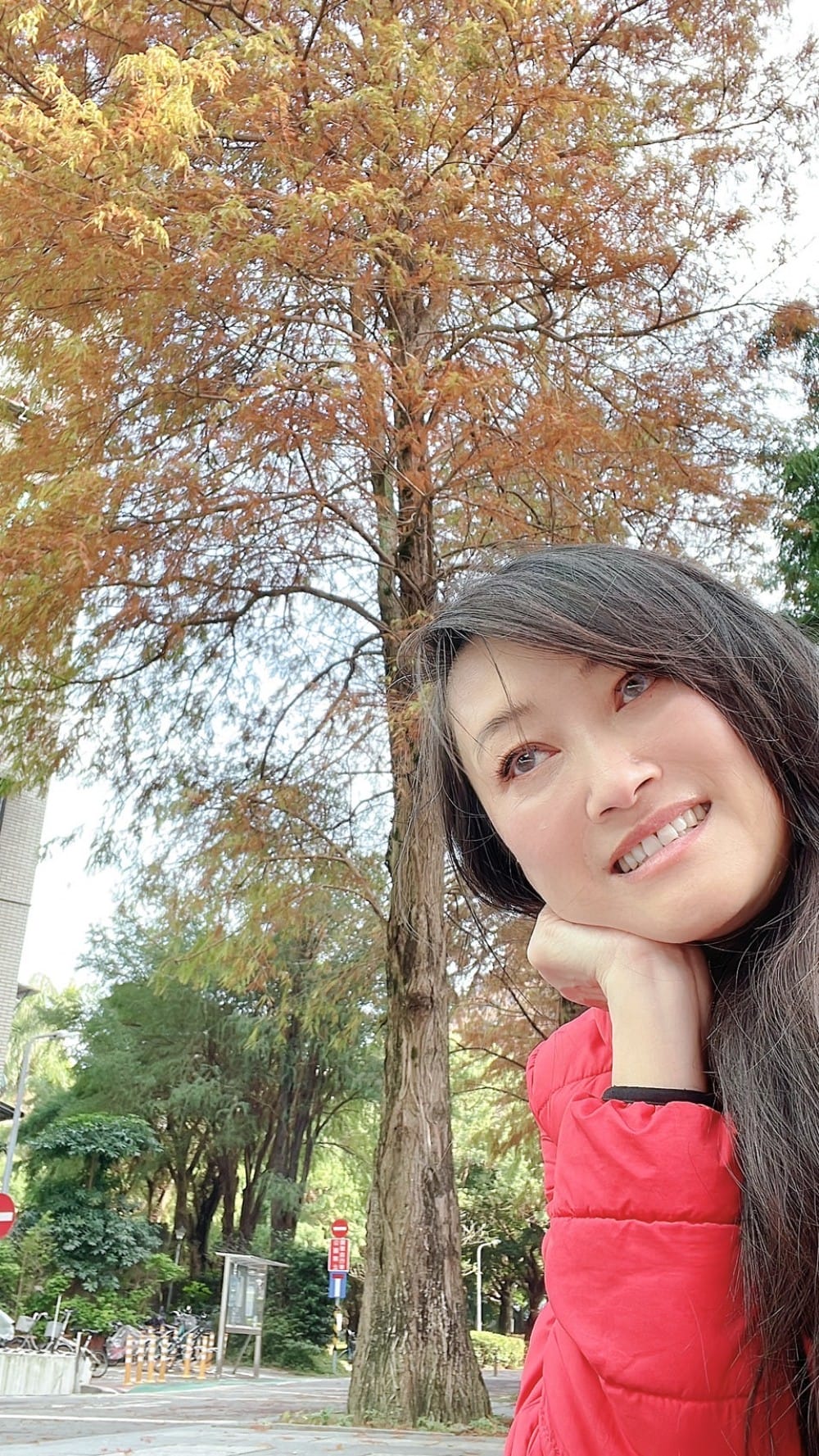 台北慶城街落羽松秘境｜台北市區文華苑旁的落羽松，還有2600坪的公園綠地