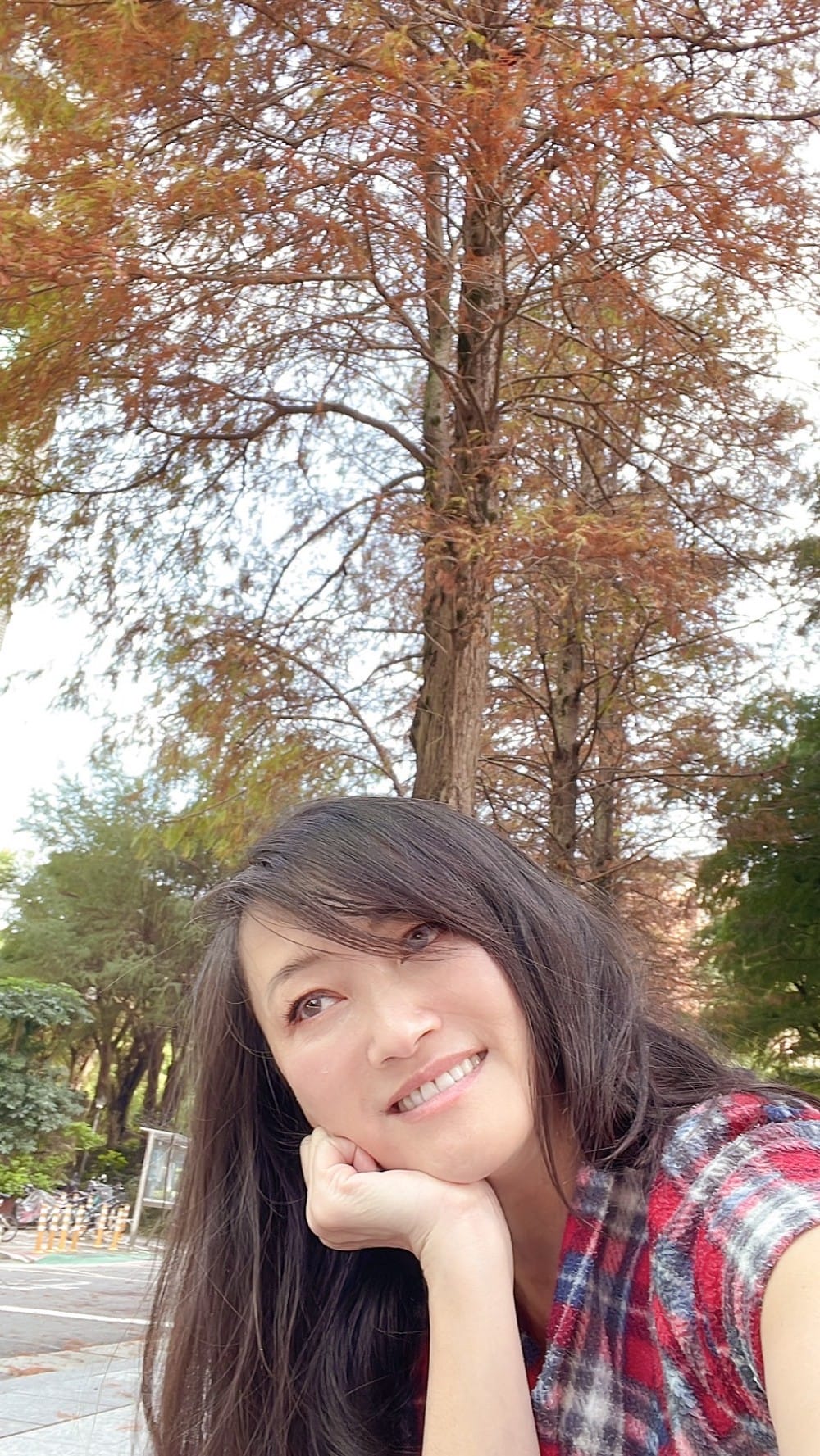 台北慶城街落羽松秘境｜台北市區文華苑旁的落羽松，還有2600坪的公園綠地