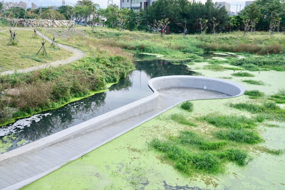 雙溪濕地公園｜台北士林新景點，唯美超仙水中步道，超美夕陽美景