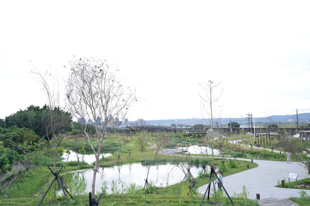 雙溪濕地公園｜台北士林新景點，唯美超仙水中步道，超美夕陽美景