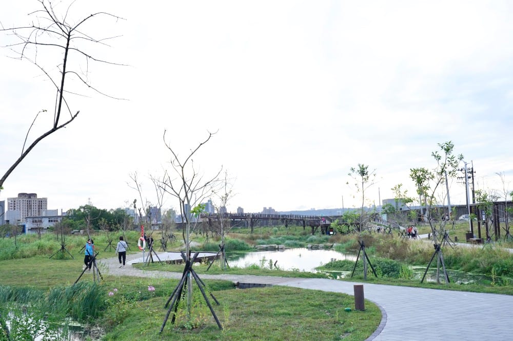 雙溪濕地公園｜台北士林新景點，唯美超仙水中步道，超美夕陽美景