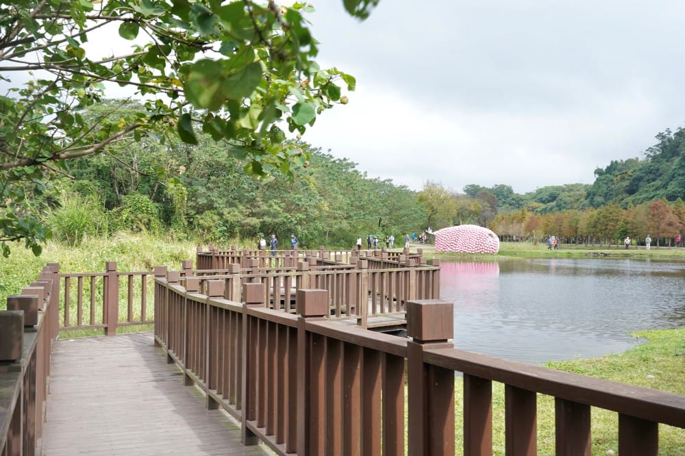 桃園大溪月眉人工濕地生態公園｜落羽松湖中倒影超美，免門票免停車費的落羽松秘境