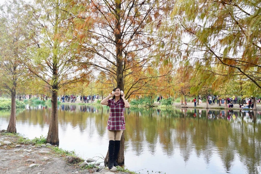 桃園大溪月眉人工濕地生態公園｜落羽松湖中倒影超美，免門票免停車費的落羽松秘境