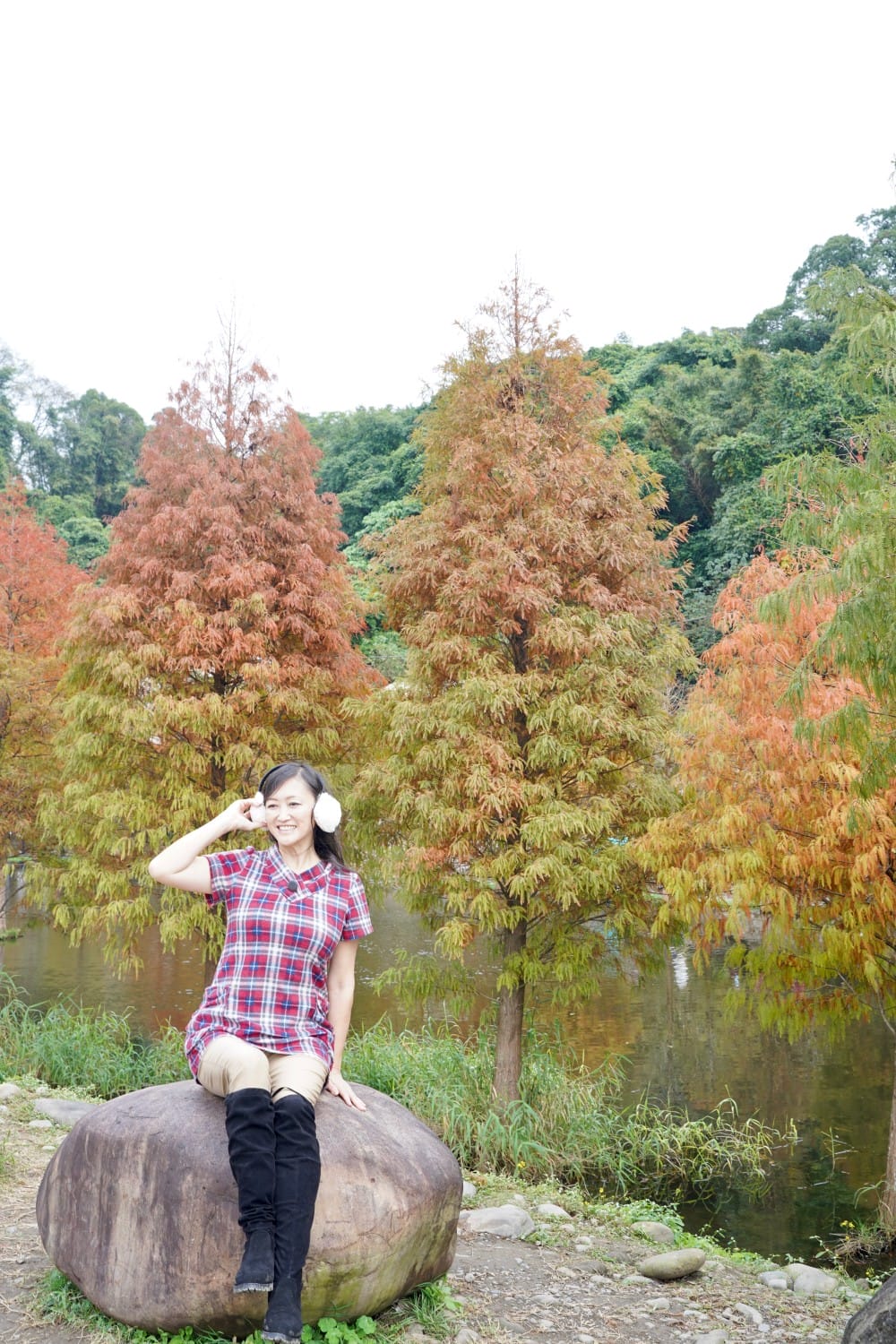 桃園大溪月眉人工濕地生態公園｜落羽松湖中倒影超美，免門票免停車費的落羽松秘境