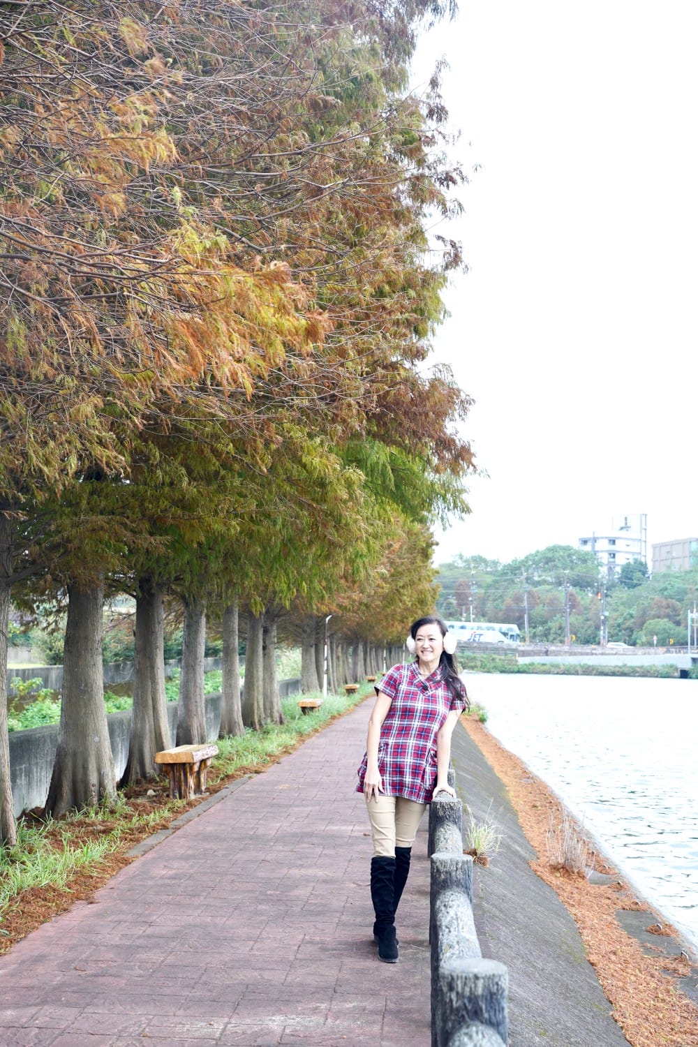 桃園八德霄裡大池落羽松林，埤塘環湖美景超級浪漫，落羽松大道一秒來韓國偶像劇