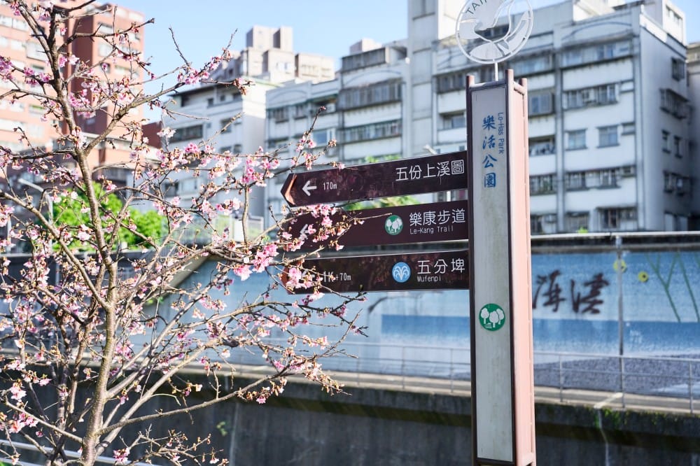 樂活夜櫻季，內湖樂活公園，台北市賞櫻熱門景點，交通，花期，特色，路線，停車攻略！