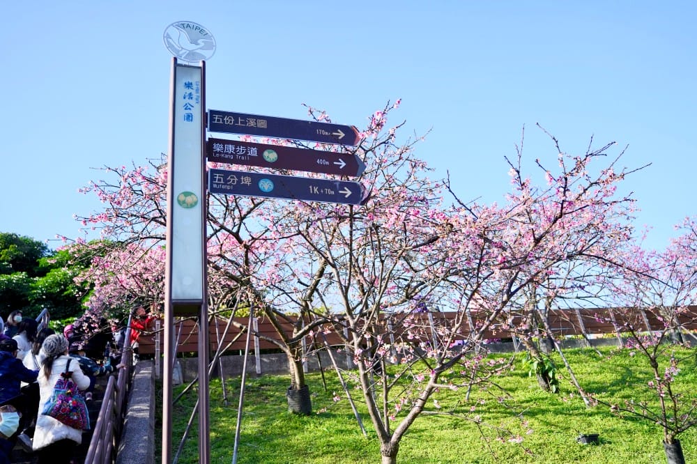 樂活夜櫻季，內湖樂活公園，台北市賞櫻熱門景點，交通，花期，特色，路線，停車攻略！