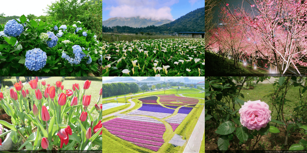 台北賞花懶人包｜免費賞花景點, 花展最詳細總整理, 台北市為市民準備的免費花展, 一年四季搭捷運就可以賞花!