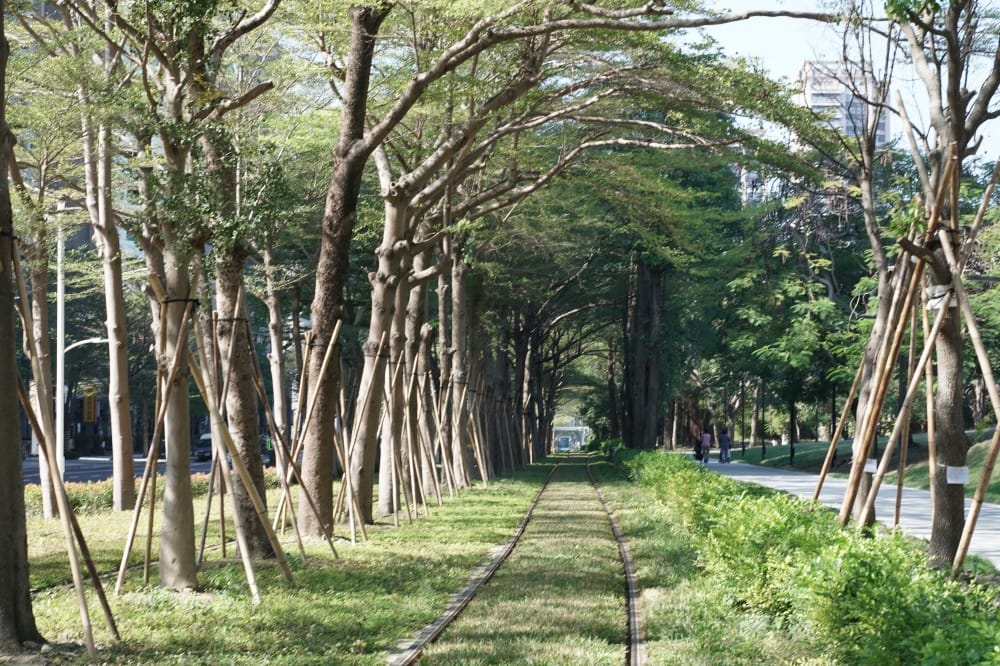 高雄輕軌龍貓隧道,高雄最美輕軌景點一秒來到宮崎駿的電影動畫場景 - 第7張圖 高雄輕軌龍貓隧道,高雄最美輕軌景點一秒來到宮崎駿的電影動畫場景