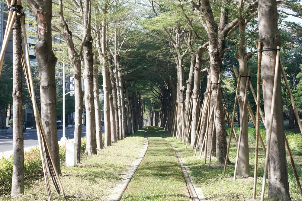 高雄輕軌龍貓隧道，高雄最美輕軌景點一秒來到宮崎駿的電影動畫場景