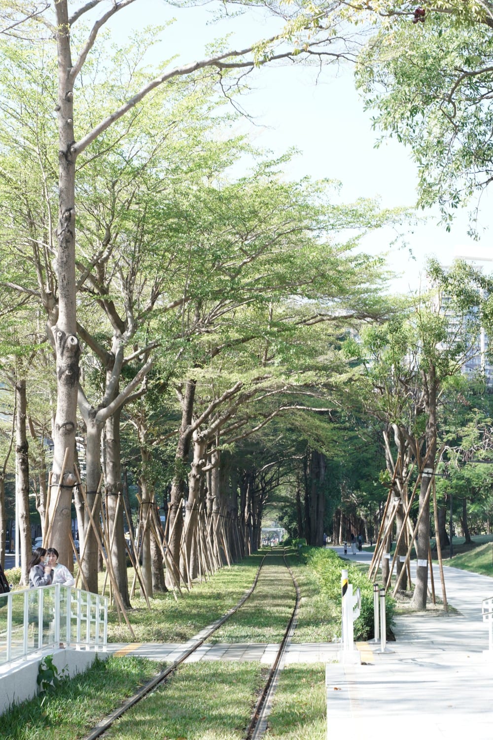 高雄輕軌龍貓隧道，高雄最美輕軌景點一秒來到宮崎駿的電影動畫場景