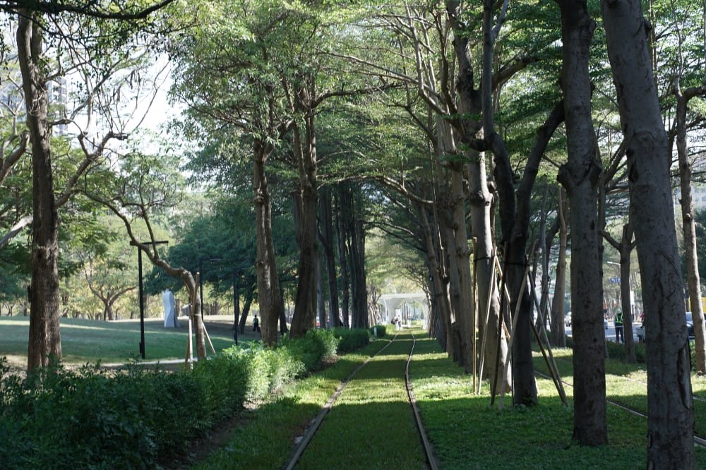 高雄輕軌龍貓隧道,高雄最美輕軌景點一秒來到宮崎駿的電影動畫場景 - 第19張圖 高雄輕軌龍貓隧道,高雄最美輕軌景點一秒來到宮崎駿的電影動畫場景