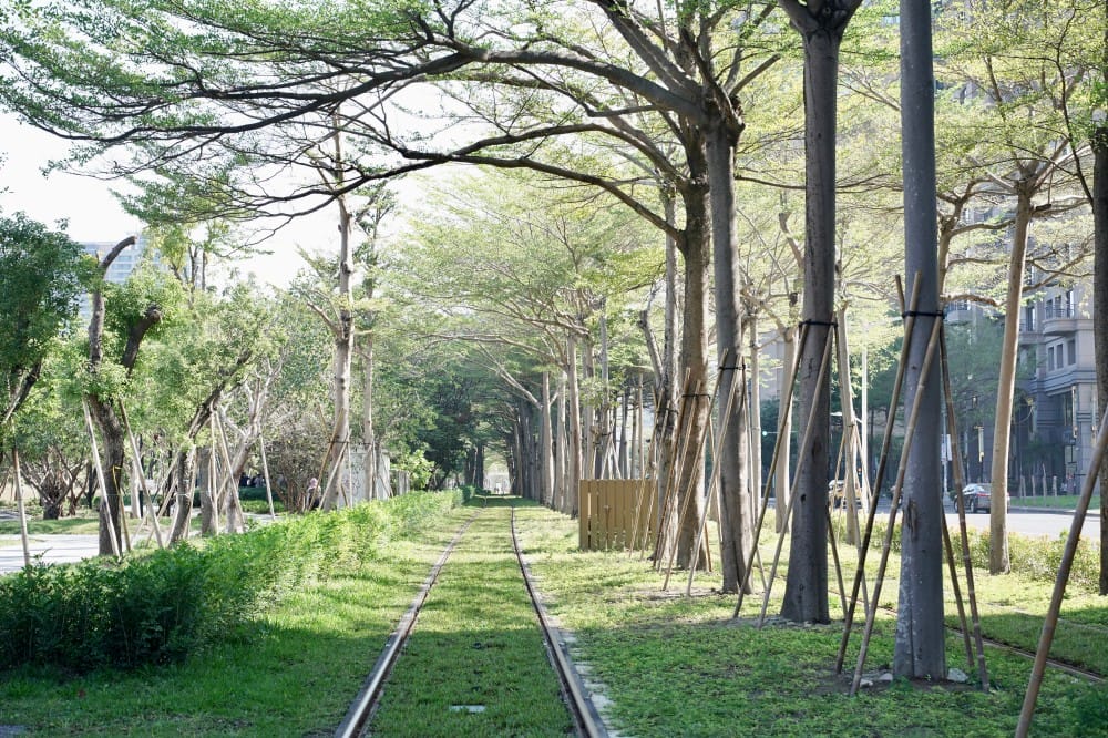 高雄輕軌龍貓隧道,高雄最美輕軌景點一秒來到宮崎駿的電影動畫場景 - 第10張圖 高雄輕軌龍貓隧道,高雄最美輕軌景點一秒來到宮崎駿的電影動畫場景