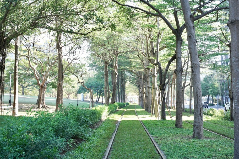 高雄輕軌龍貓隧道，高雄最美輕軌景點一秒來到宮崎駿的電影動畫場景