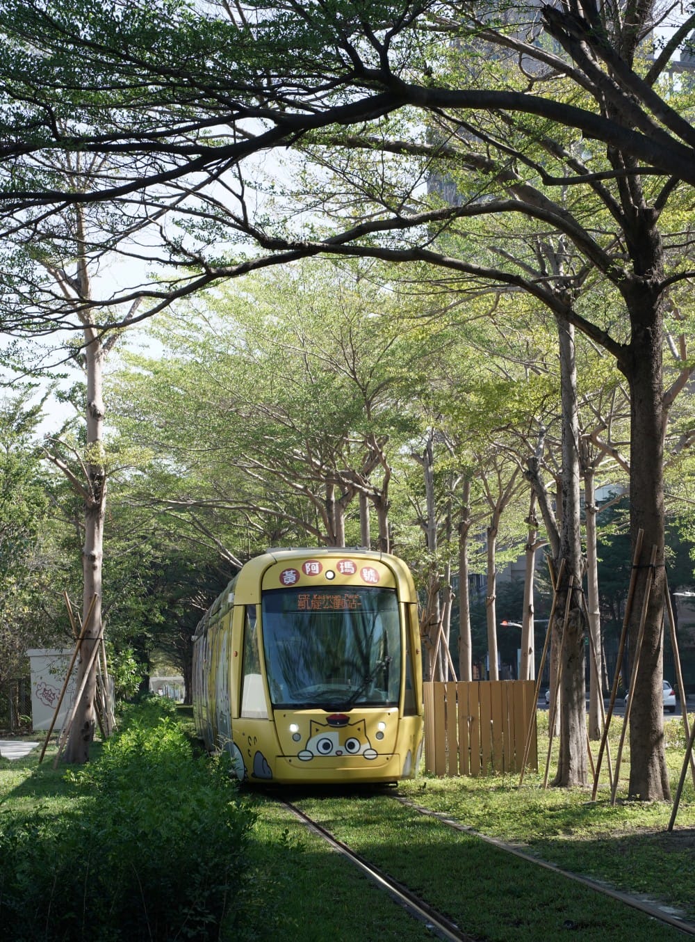 高雄輕軌龍貓隧道，高雄最美輕軌景點一秒來到宮崎駿的電影動畫場景