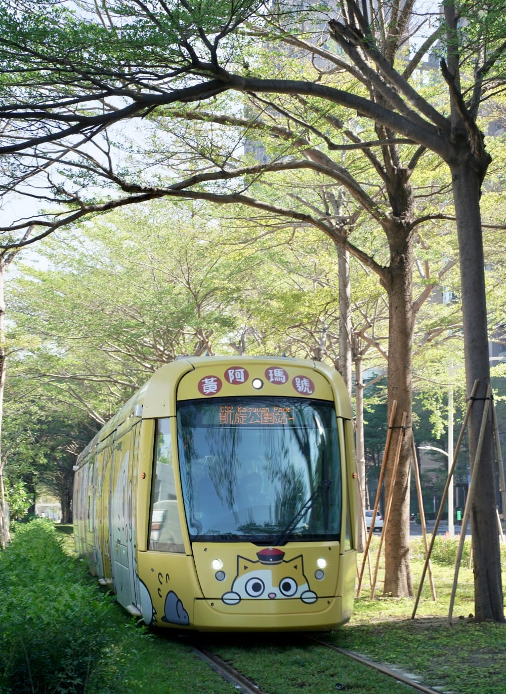 高雄輕軌龍貓隧道,高雄最美輕軌景點一秒來到宮崎駿的電影動畫場景 - 第37張圖 高雄輕軌龍貓隧道,高雄最美輕軌景點一秒來到宮崎駿的電影動畫場景