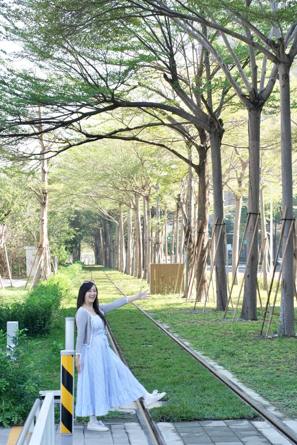 高雄輕軌龍貓隧道，高雄最美輕軌景點一秒來到宮崎駿的電影動畫場景