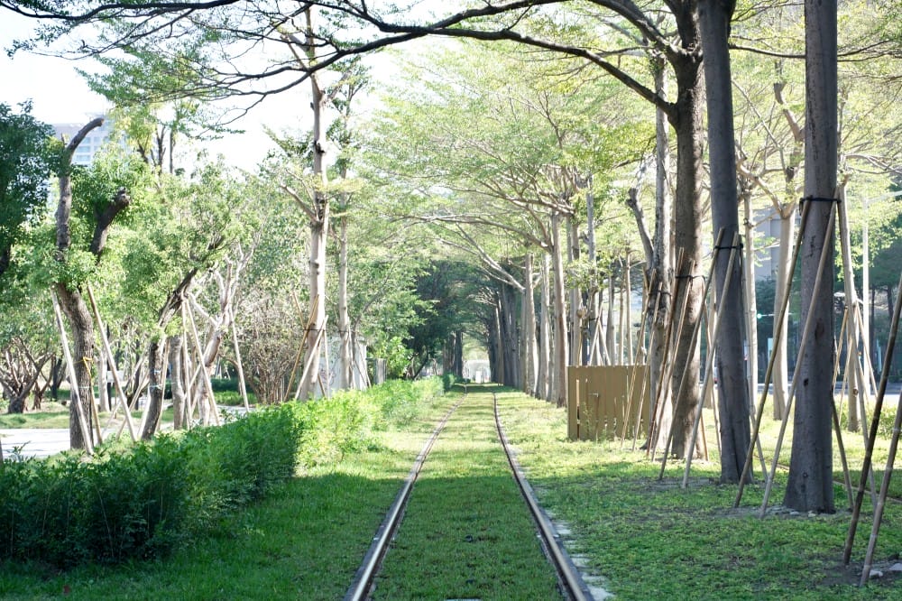 高雄輕軌龍貓隧道，高雄最美輕軌景點一秒來到宮崎駿的電影動畫場景