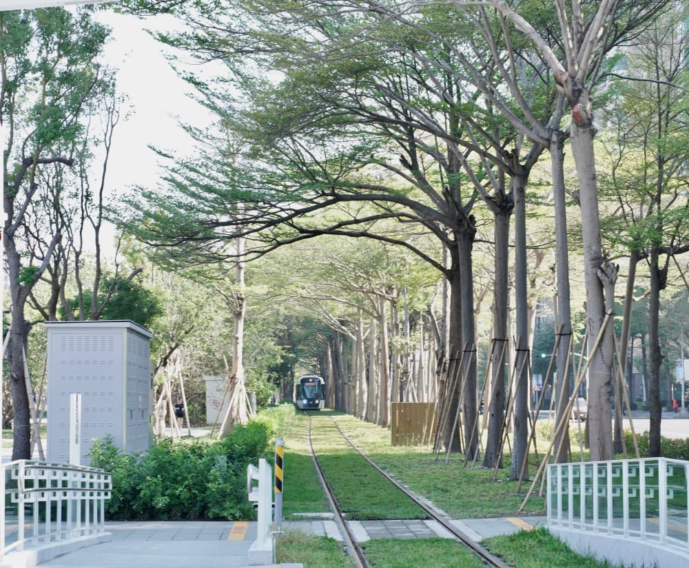 高雄輕軌龍貓隧道，高雄最美輕軌景點一秒來到宮崎駿的電影動畫場景